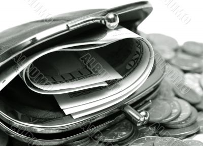 Purse with money