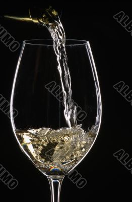 glass of champaign glass of champaign