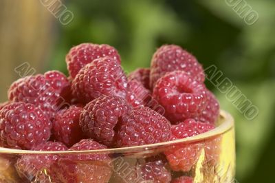 Raspberry