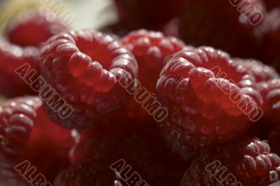 Raspberry Raspberry