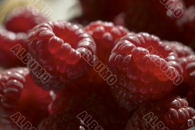 Raspberry