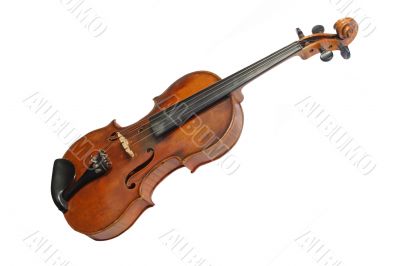 Old violin