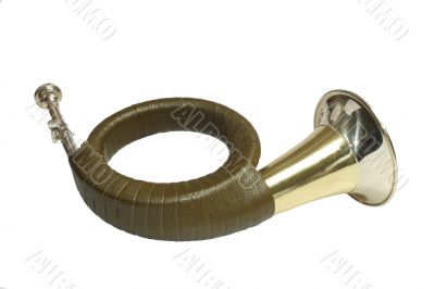 Shiny Horn Shiny Horn