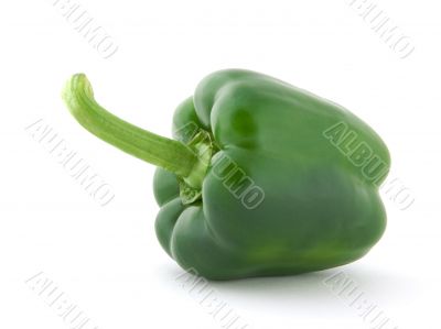 Green pepper