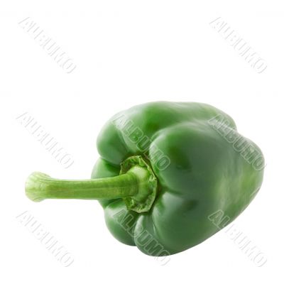 Green pepper