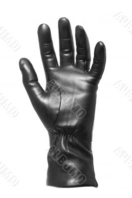Black glove gesticulating