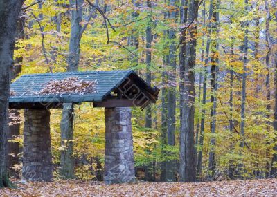 Autumn Scene