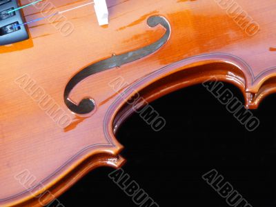 Violin Section Violin Section