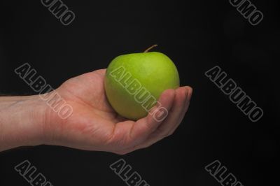 Holding an Apple Holding an Apple