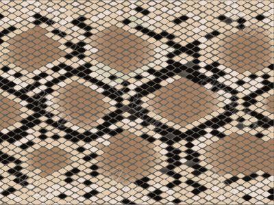 Lozenge pattern snake skin