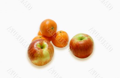Fruit Fruit