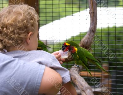 Feeding a Bitd Feeding a Bitd