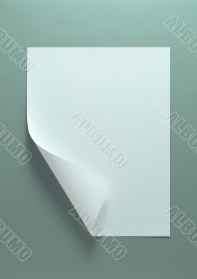 White paper