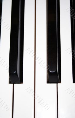 close-up of piano keyboard
