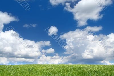 field with cumulus clouds