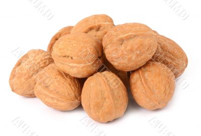 walnuts against white