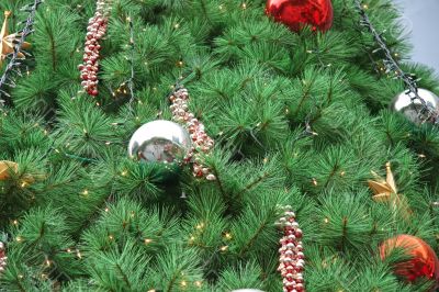 Chirstmas ornaments