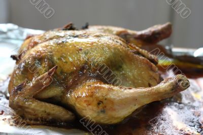Whole roast chicken