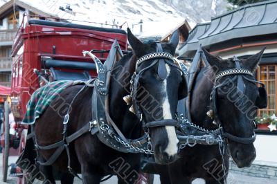 Old-fashioned Horse carriage.