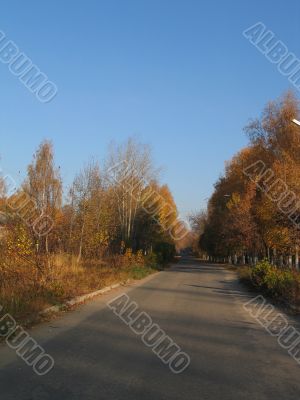 Autumnal road