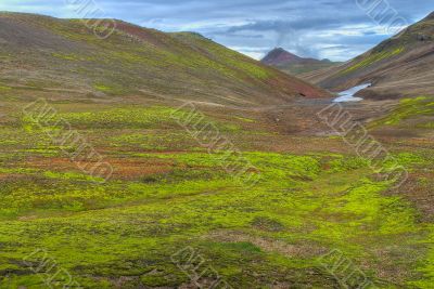 Lush green valley in Iceland
