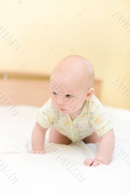 Toddler crawling on bed