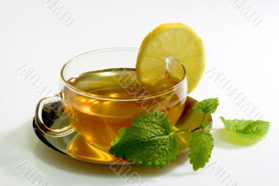 Lemon Balm Tea