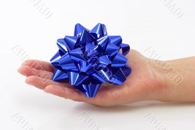 Blue Bow in Hand Blue Bow in Hand
