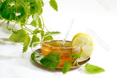 Herbal Tea with Lemon Balm Leaves