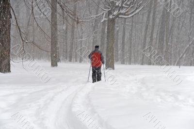Man skiing during a snowfall