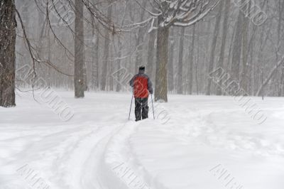 Man skiing during a snowfall Man skiing during a snowfall