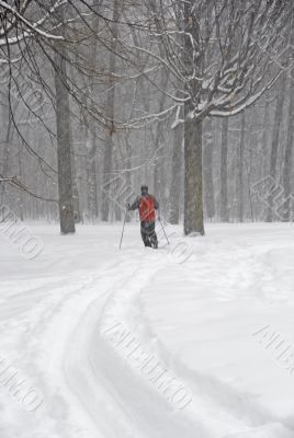 Man skiing in a fresh snow
