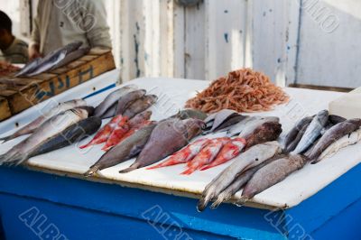 Fresh fish and shrimps Fresh fish and shrimps