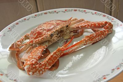 Cooked crab
