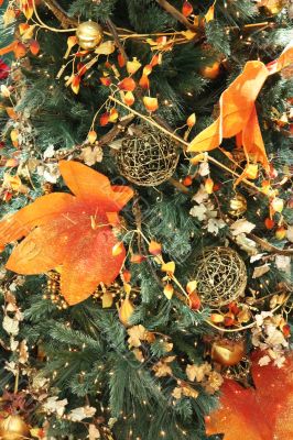 Orange christmas