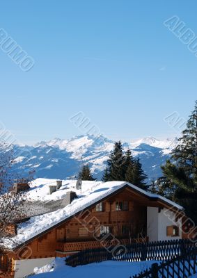 Winter Winter