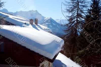 Winter Winter