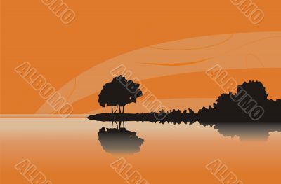 Silhouette of a tree at orange coast