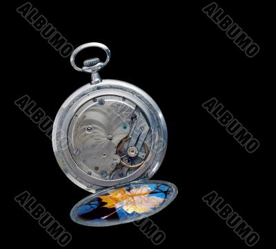 autumn watch autumn watch