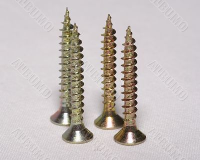 Screws for a tree on a white background