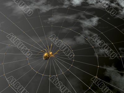 spider and web spider and web