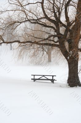 Picnic table in snow under a tree