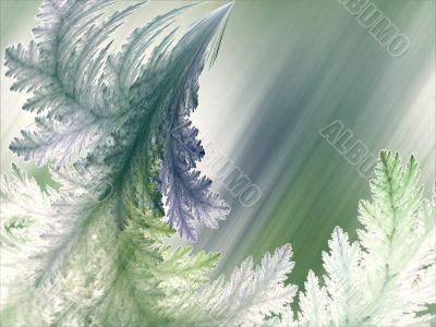 Fractal Abstract Background - Feathery textures