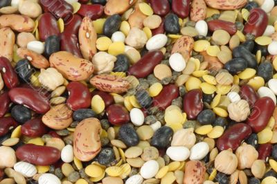 Colurful Beans Colurful Beans
