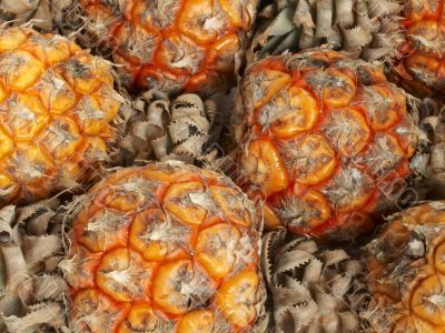 Macro close-up of small pineapples