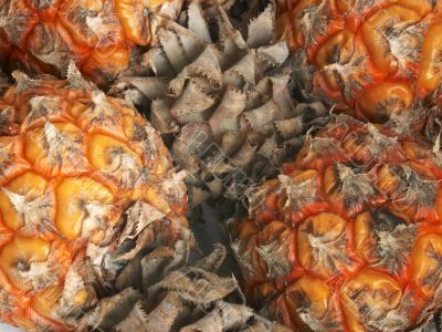 Macro close-up of small pineapples