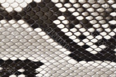 snake skin leather material snake skin leather material
