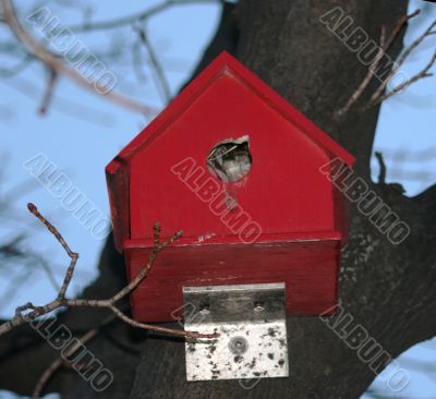 Red Birdhouse