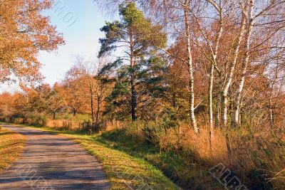 autumn landscape - village