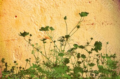 flower abstract textures and backgrounds